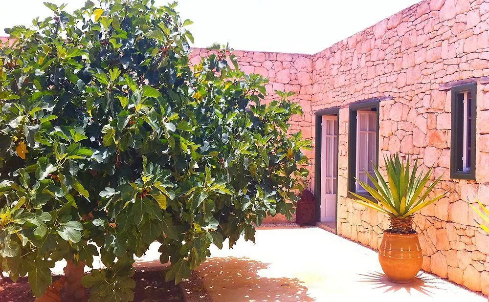 Les Jardins De Villa Maroc Esauira Marruecos